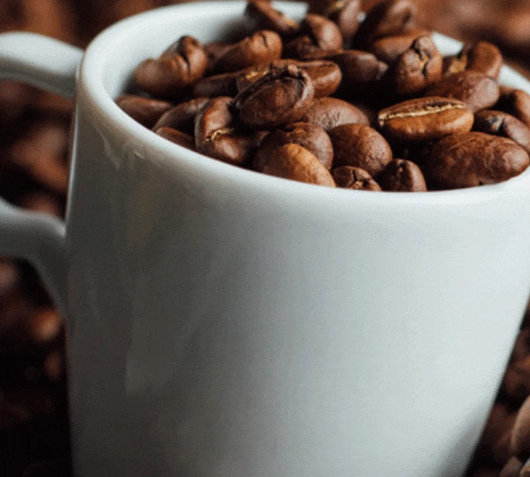 1kg Café En Grain Intermezzo - SEGAFREDO – Image 2