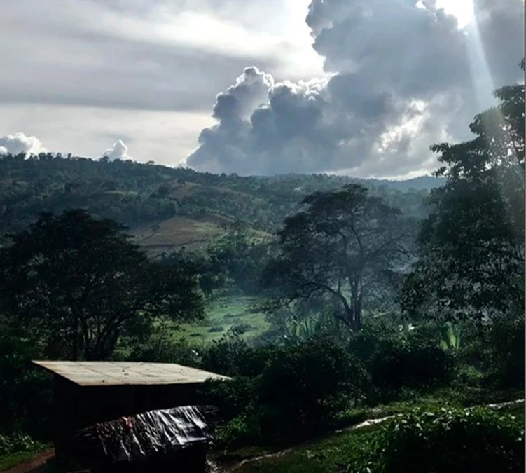 Café En Grains Mahembe - Rwanda Filtre - 250g - The Barn – Image 4