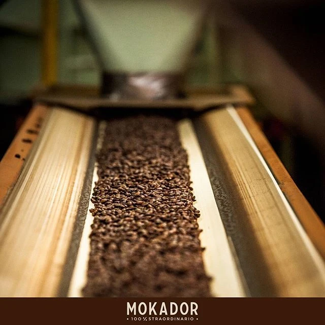 Café En Grains Espresso Oro - 500g - Mokador Castellari – Image 3