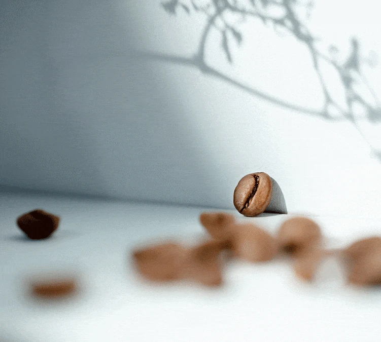 500g Café En Grain Bio Moka D'Ethiopie - CAFES RICHARD – Image 3